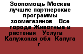 Зоопомощь.Москва лучшие партнерские программы зоомагазинов - Все города Животные и растения » Услуги   . Калужская обл.,Калуга г.